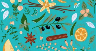 herbal remedies to relieve stress & reduce anxiety naturally